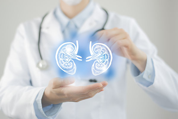 Identification Of The Stages Of Chronic Renal Disease Using Machine Learning